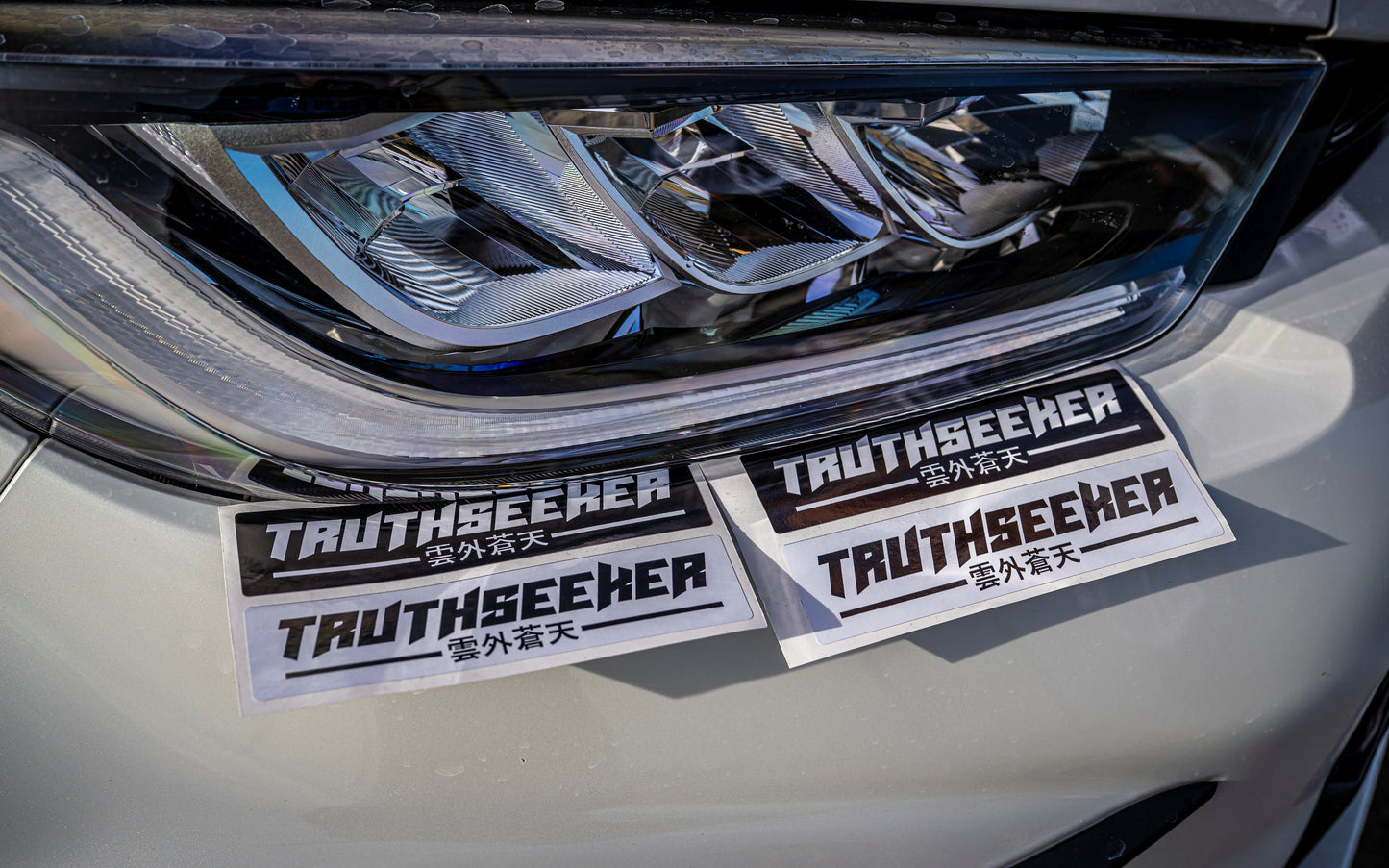 Slap Stickers - Truthseeker