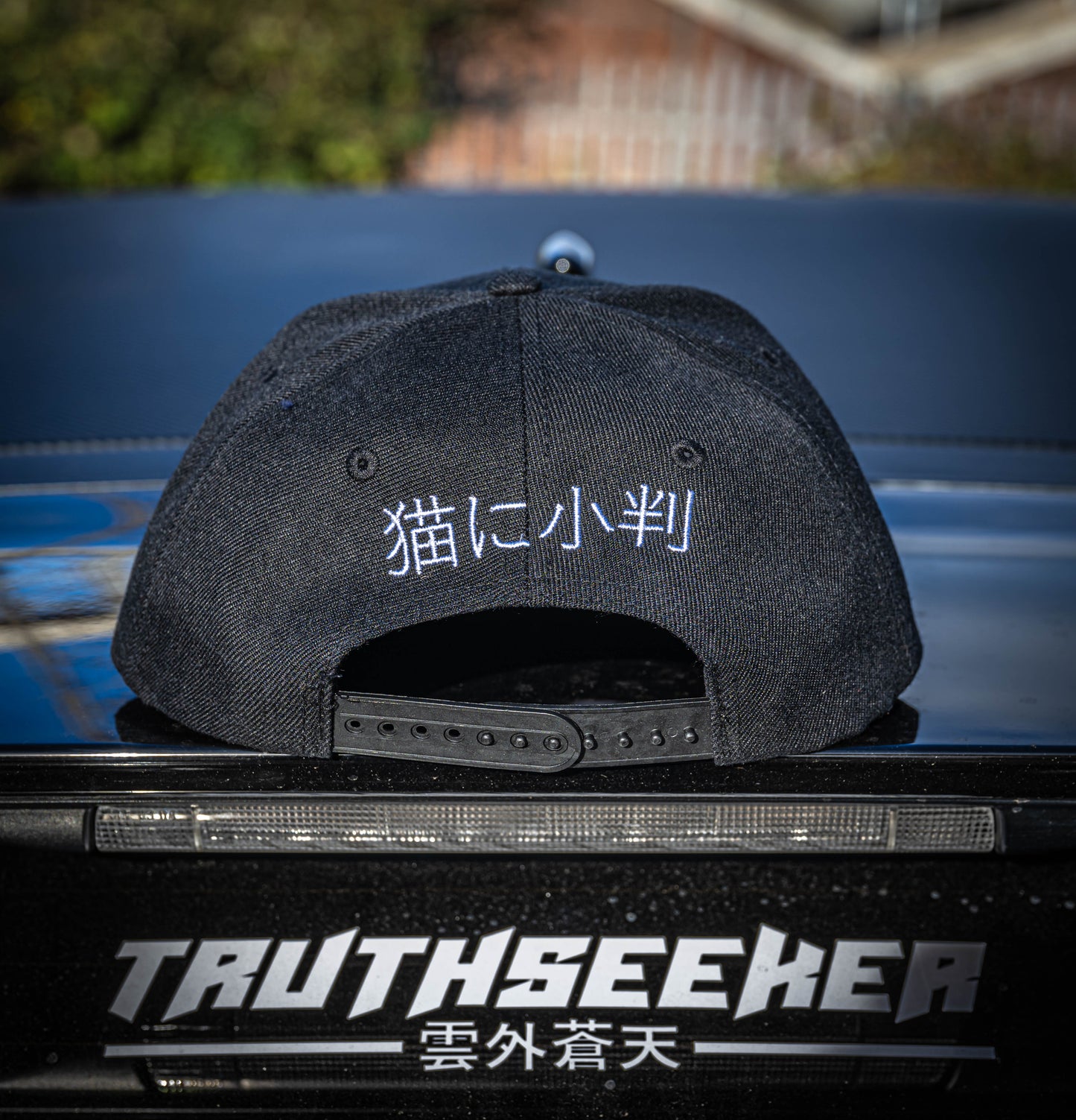 TruthSeeker SnapBack Caps - Truthseeker